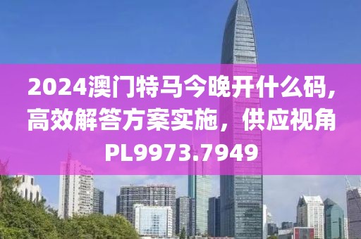 2024澳门特马今晚开什么码,高效解答方案实施，供应视角PL9973.7949