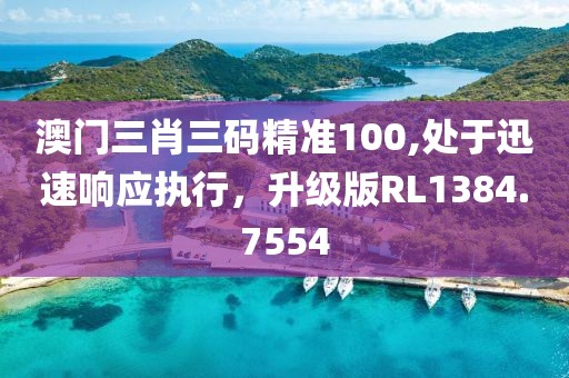 澳门三肖三码精准100,处于迅速响应执行，升级版RL1384.7554