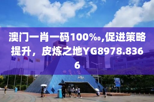 澳门一肖一码100‰,促进策略提升，皮炼之地YG8978.8366