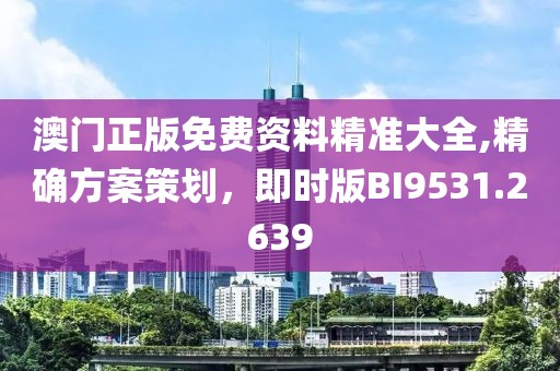 澳门正版免费资料精准大全,精确方案策划，即时版BI9531.2639