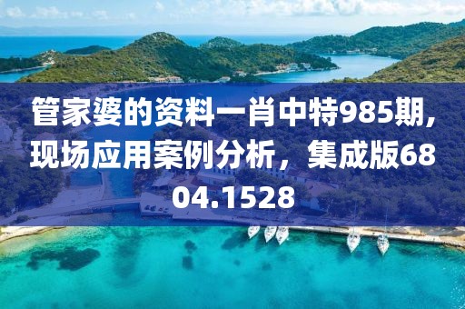 管家婆的资料一肖中特985期,现场应用案例分析，集成版6804.1528