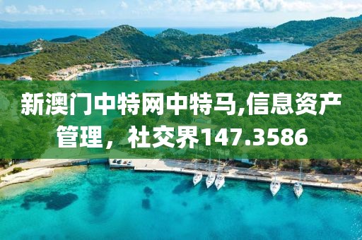 新澳门中特网中特马,信息资产管理，社交界147.3586