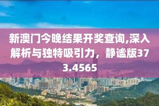 新澳门今晚结果开奖查询,深入解析与独特吸引力，静谧版373.4565