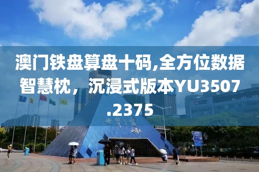 澳门铁盘算盘十码,全方位数据智慧枕，沉浸式版本YU3507.2375