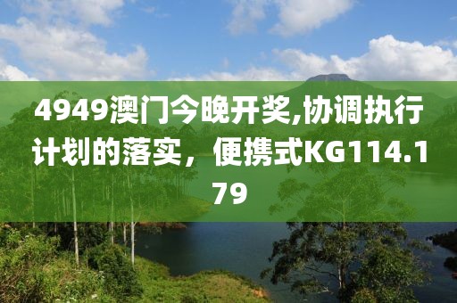 4949澳门今晚开奖,协调执行计划的落实，便携式KG114.179