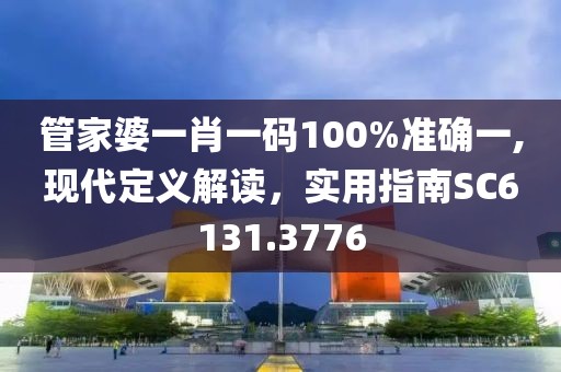 管家婆一肖一码100%准确一,现代定义解读，实用指南SC6131.3776