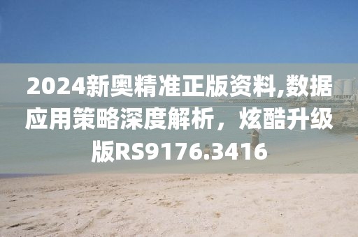 2024新奥精准正版资料,数据应用策略深度解析，炫酷升级版RS9176.3416