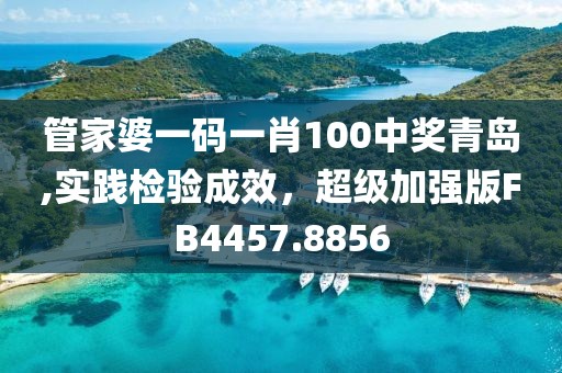 管家婆一码一肖100中奖青岛,实践检验成效，超级加强版FB4457.8856