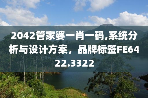 2042管家婆一肖一码,系统分析与设计方案，品牌标签FE6422.3322