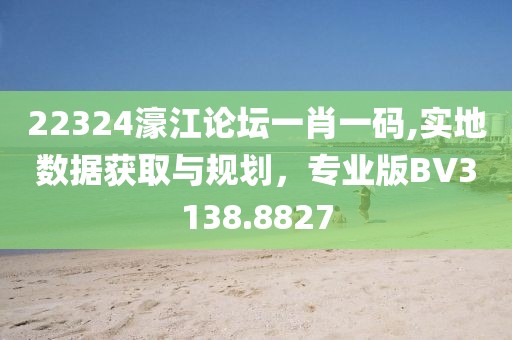 22324濠江论坛一肖一码,实地数据获取与规划，专业版BV3138.8827