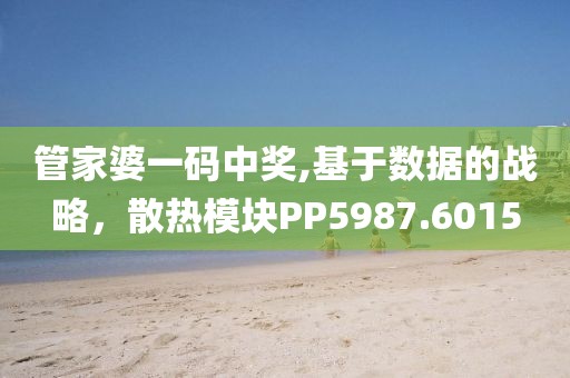 管家婆一码中奖,基于数据的战略，散热模块PP5987.6015