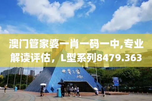 澳门管家婆一肖一码一中,专业解读评估，L型系列8479.363
