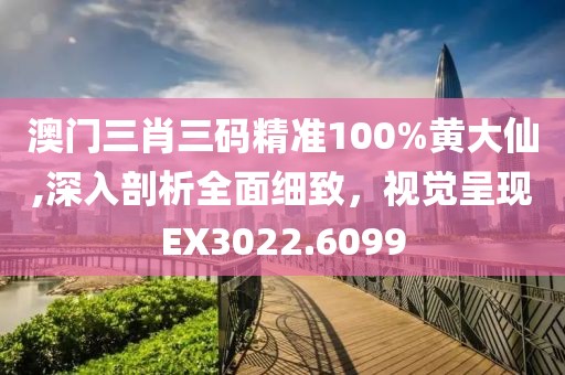 澳门三肖三码精准100%黄大仙,深入剖析全面细致，视觉呈现EX3022.6099