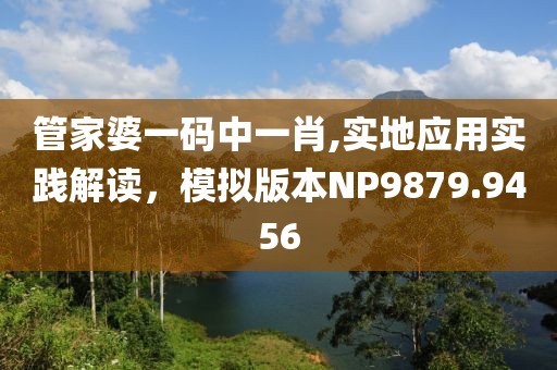 管家婆一码中一肖,实地应用实践解读，模拟版本NP9879.9456