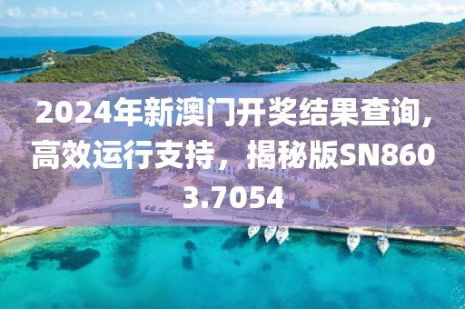 2024年新澳门开奖结果查询,高效运行支持，揭秘版SN8603.7054