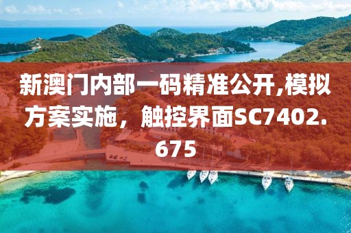 新澳门内部一码精准公开,模拟方案实施，触控界面SC7402.675