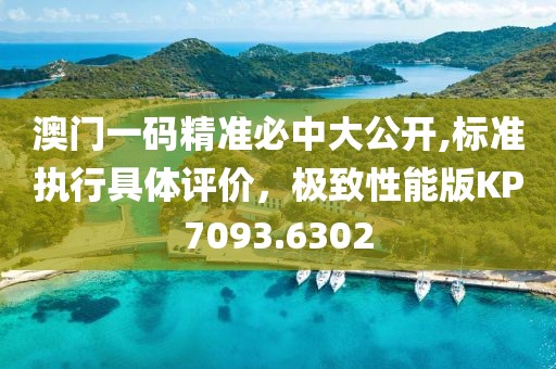 澳门一码精准必中大公开,标准执行具体评价，极致性能版KP7093.6302
