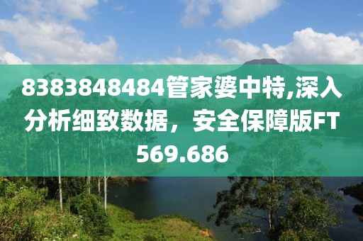 8383848484管家婆中特,深入分析细致数据，安全保障版FT569.686
