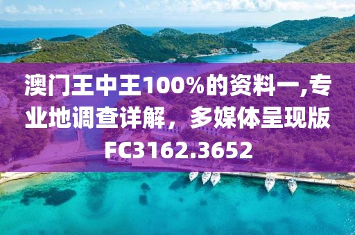 澳门王中王100%的资料一,专业地调查详解，多媒体呈现版FC3162.3652