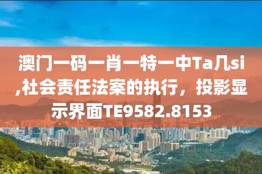 澳门一码一肖一特一中Ta几si,社会责任法案的执行，投影显示界面TE9582.8153