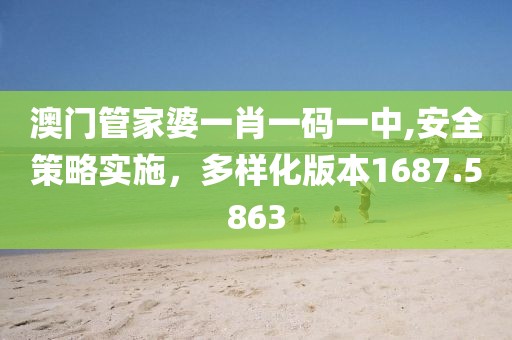 澳门管家婆一肖一码一中,安全策略实施，多样化版本1687.5863