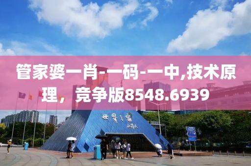 管家婆一肖-一码-一中,技术原理，竞争版8548.6939
