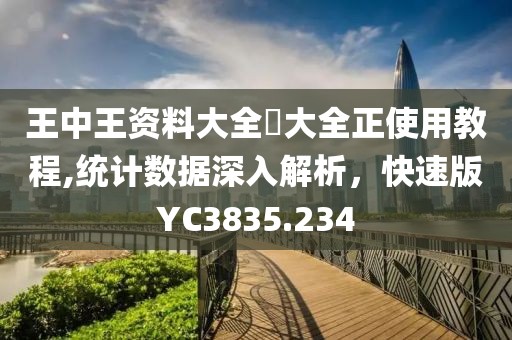 王中王资料大全枓大全正使用教程,统计数据深入解析，快速版YC3835.234
