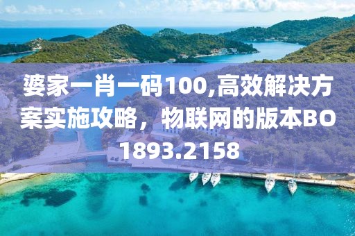 婆家一肖一码100,高效解决方案实施攻略，物联网的版本BO1893.2158