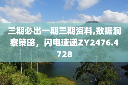 三期必出一期三期资料,数据洞察策略，闪电速递ZY2476.4728