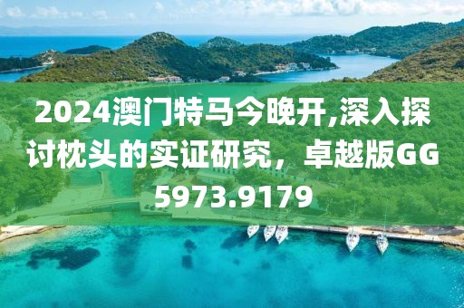 2024澳门特马今晚开,深入探讨枕头的实证研究，卓越版GG5973.9179