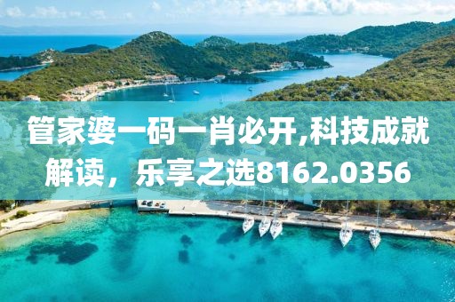 管家婆一码一肖必开,科技成就解读，乐享之选8162.0356