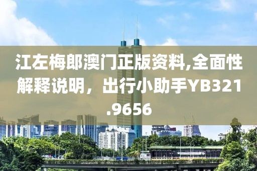 江左梅郎澳门正版资料,全面性解释说明，出行小助手YB321.9656