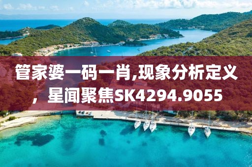 管家婆一码一肖,现象分析定义，星闻聚焦SK4294.9055
