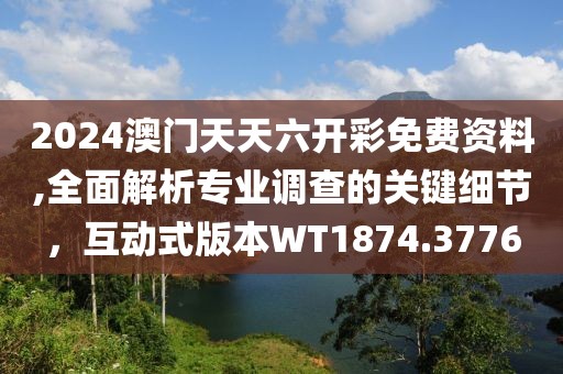 2024澳门天天六开彩免费资料,全面解析专业调查的关键细节，互动式版本WT1874.3776