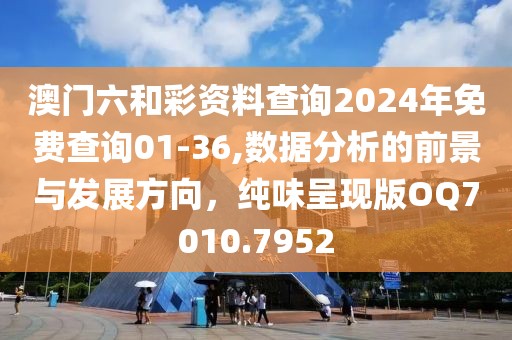 澳门六和彩资料查询2024年免费查询01-36,数据分析的前景与发展方向，纯味呈现版OQ7010.7952