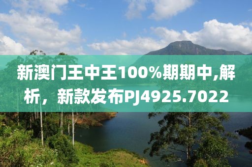 新澳门王中王100%期期中,解析，新款发布PJ4925.7022