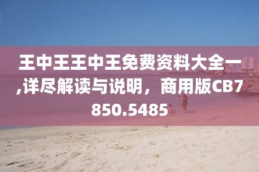 王中王王中王免费资料大全一,详尽解读与说明，商用版CB7850.5485