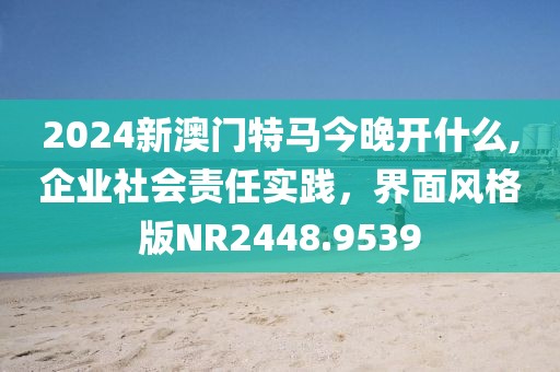 2024新澳门特马今晚开什么,企业社会责任实践，界面风格版NR2448.9539