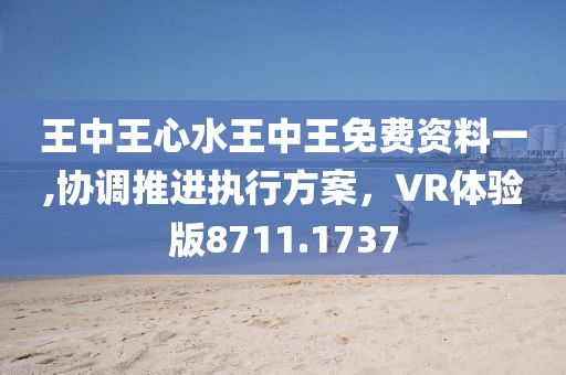 王中王心水王中王免费资料一,协调推进执行方案，VR体验版8711.1737