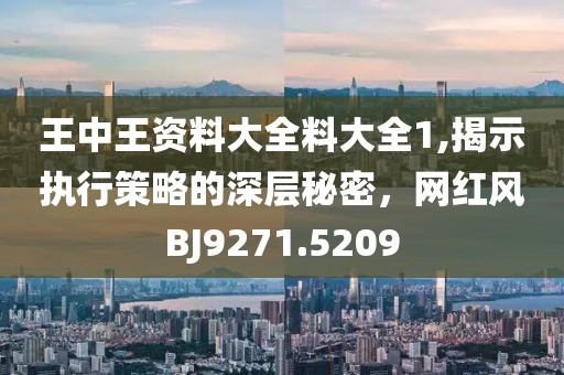 王中王资料大全料大全1,揭示执行策略的深层秘密，网红风BJ9271.5209