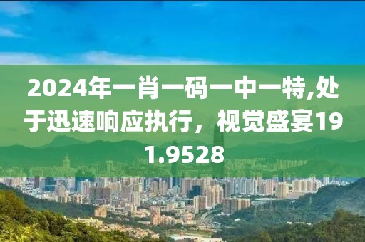 2024年一肖一码一中一特,处于迅速响应执行，视觉盛宴191.9528