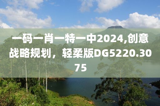 一码一肖一特一中2024,创意战略规划，轻柔版DG5220.3075