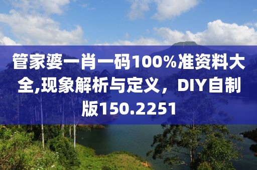 管家婆一肖一码100%准资料大全,现象解析与定义，DIY自制版150.2251