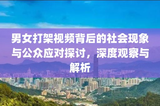 男女打架视频背后的社会现象与公众应对探讨，深度观察与解析