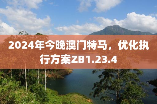 2024年今晚澳门特马，优化执行方案ZB1.23.4