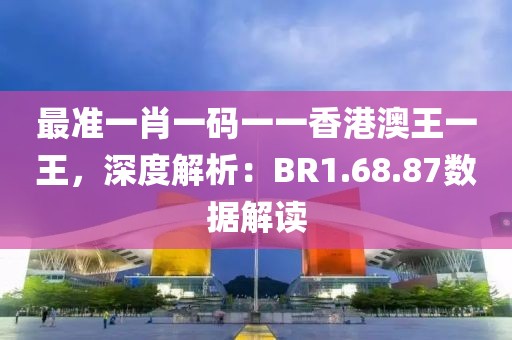 最准一肖一码一一香港澳王一王，深度解析：BR1.68.87数据解读