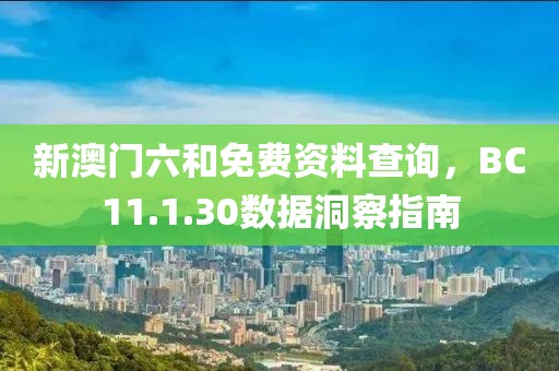 新澳门六和免费资料查询，BC11.1.30数据洞察指南