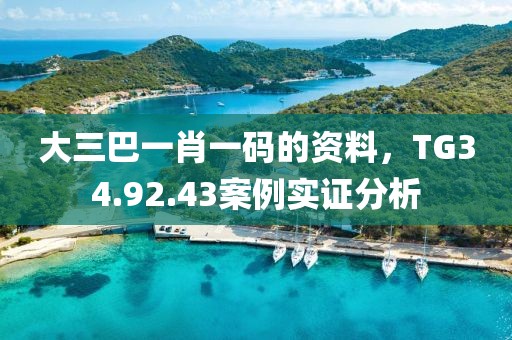 大三巴一肖一码的资料，TG34.92.43案例实证分析
