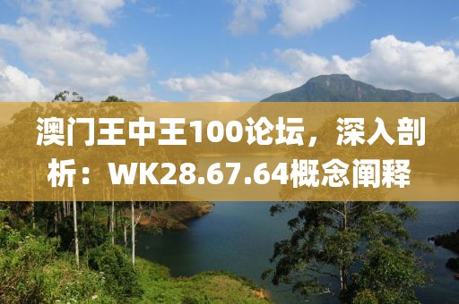 澳门王中王100论坛，深入剖析：WK28.67.64概念阐释