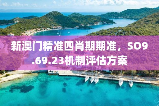 新澳门精准四肖期期准，SO9.69.23机制评估方案